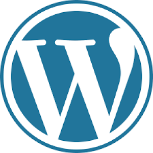 WordPress India
